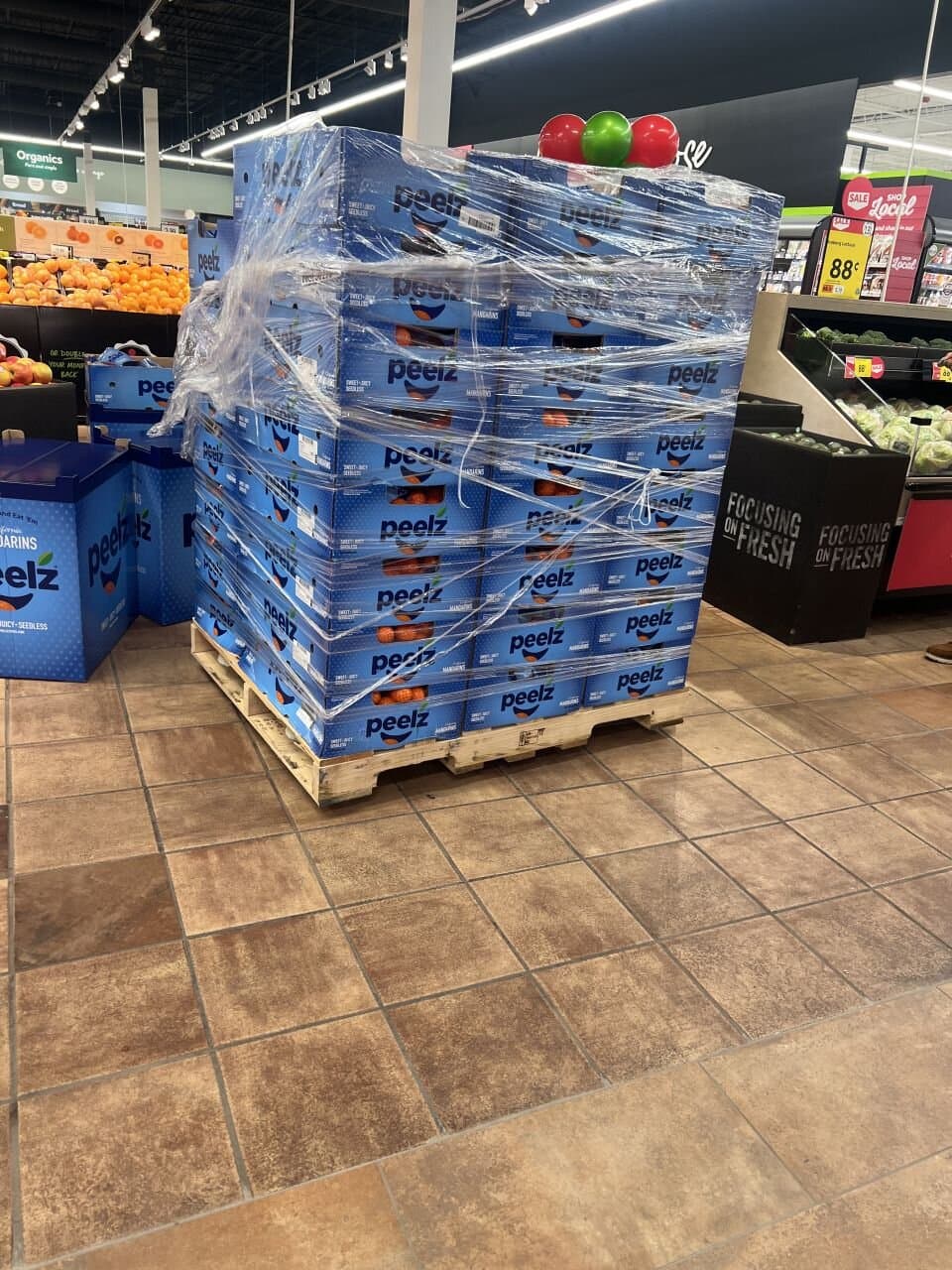 Diverse international crowd celebrating